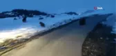 Aç kalan ayılar yola indi