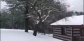 Spil Dağında kar kalınlığı 15 santimetreye ulaştı