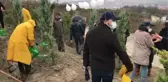 Sağlık çalışanları adına 800 fidan dikildi