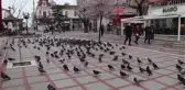 EDİRNE/KIRKLARELİ - Vaka artışının sürdüğü Trakya'da vatandaşa göre artışın nedeni 