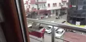 Saksıda çiçek değil, kumru açtı