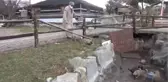Yaşadıkları yerde sokak hayvanlarını besleyen hayvansever çift örnek oluyor