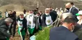 Son dakika gündem: Geçen yıl orman yangınlarında zarar gören alanlar ağaçlandırılıyor