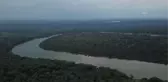 Kolombiya Amazonları'ndaki biyoçeşitlilik