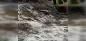 MANİSA Şarampole yuvarlanan otomobildeki 2 kişi yaralandı