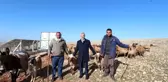 Son dakika haberi! Hayvancılık gelişiyor, hem yetiştirici hem ülke ekonomisi kazanıyor