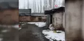 Öz babasını boğazını keserek öldürdü