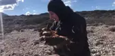 Adada yaşayan engelli oğlak, dalgıçların çabasıyla tedavi altına alındı