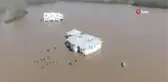 ABD'de sel: 4 ölü