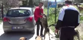 Hayvanseverler sokak hayvanlarını unutmadı