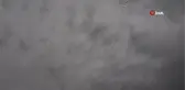 Baharın müjdecisi göçmen kuşlar yuvalarına dönmeye başladı