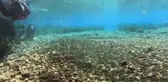 Doğal su kaynaklarından Kırkgöz'de su altı temizliği yapıldı