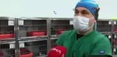 İZMİR Anne kedinin veterinere getirdiği yavrular sahiplenildi