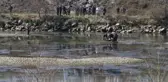 Kayıp olan 17 yaşındaki kızın cansız bedeni Yeşilırmak'ta bulundu