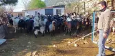 Koyunlarını gütmek için drone kullanan çoban kilometrelerce yol gitmekten kurtuldu