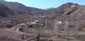 Nesli tükenmekte olan kuş Erzurum'da görüldü