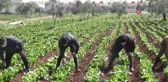 Sınır kentinde korona tedbirleri arttırılıyor