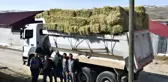 Bayburtlu çiftçilerden Yusufeli'ne yardım eli