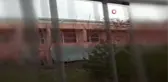 Eskişehir'de kedi vahşeti...Boynundan ağaca asılmış halde bulundu