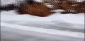 KOCAELİ Kar yağışı etkili oldu, Kartepe beyaza büründü