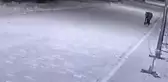 Son dakika... Seyir halindeki motosikletin, ağaca bağlı atın ipine takılıp devrilmesi kameraya yansıdı
