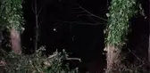 Son dakika haberi... Arazi aracı devrildi: 1 ölü, 1 yaralı