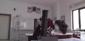 Ortaokul öğrencisi sokak hayvanları için 