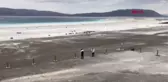 Son dakika haber! BURDUR SALDA GÖLÜ'NDE DOĞA KENDİNİ YENİLEDİ, ÇAMUR ÇUKURLARI KAPANMAYA BAŞLADI