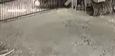 Otomobille polisten kaçarken, kaza yaptılar