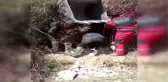 MUĞLA KUYUYA DÜŞEN İNEK KEPÇE YARDIMI İLE KURTARILDI