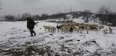 BALKANLAR ÜZERİNDEN GELEN KAR İLE TRAKYA BEMBEYAZ