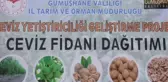 GÜMÜŞHANE - Çiftçilere 5 bin 600 adet ceviz fidanı dağıtıldı