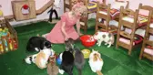 Son dakika haberi... MARDİNLİ MARİLYN MONROE, KEDİ SIĞINMA EVİ KURDU
