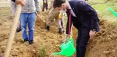TOKAT'TA SAĞLIK ÇALIŞANLARI İÇİN 2 BİN FİDAN