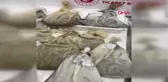 SABİHA GÖKÇEN HAVALİMANINDA BİNLERCE SÜLÜK ELE GEÇİRİLDİ