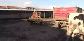 Besici kuzenlerin tasarladığı 