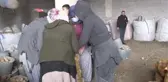 Toprak Mahsulleri Ofisi, ihtiyaç sahiplerine dağıtılacak patatesin alımına başladı