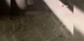 Karayipler'de La Soufriere Yanardağı 3'üncü kez patladıYerleşim bölgelerine kül yağdı