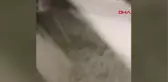 Karayiplerdeki  La Soufriere Yanardağı, 3'üncü defa patladı