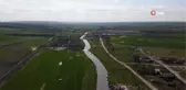 Çorlu Deresi'nde simsiyah zehir akıyor