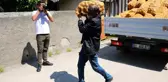 Adana'da ihtiyaç sahiplerine patatesler dağıtılmaya başlandı