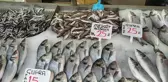 Balıkçılar erken paydos etti