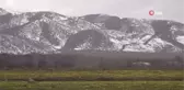 Tunceli'de çiçeklerin renk cümbüşü