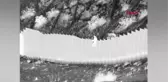 ABD ile Meksika sınırındaki 4.5 metrelik duvardan atılan iki kız kardeş ailesine kavuşacak