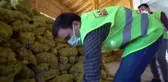 Akhisar Belediyesi, ihtiyaç sahiplerine ücretsiz patates dağıtıyor