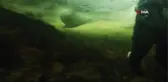 Rusya'da buz tutan denizin altında fotoğraf sergisi