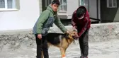 İşkence edilen köpeğe çocuklar sahip çıktı
