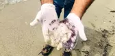 Son dakika haber... Kuşadası'nda ölü denizanaları sahile vurdu