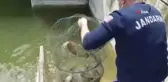 Av yasağı tanımayan kaçak avcılara ceza