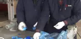 Mavi kapaklar siperliğe dönüştürülüyor